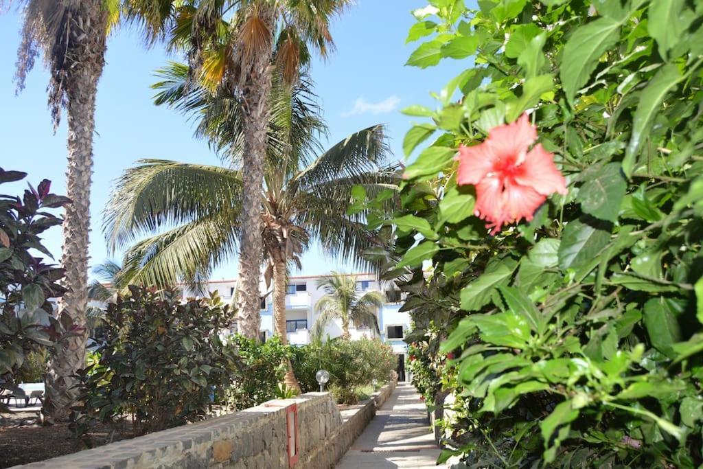 Holiday Properties Moradias Green Santa Maria Exterior foto